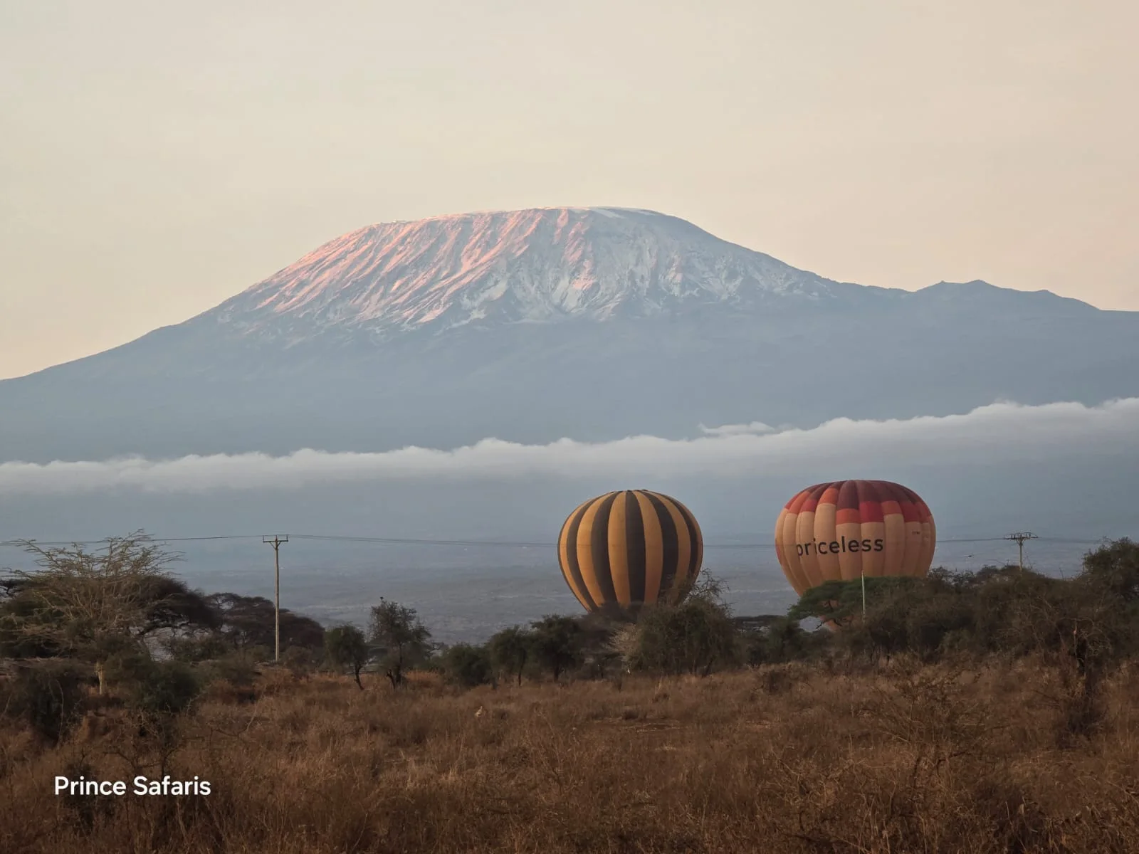 Private Safari in Kenya