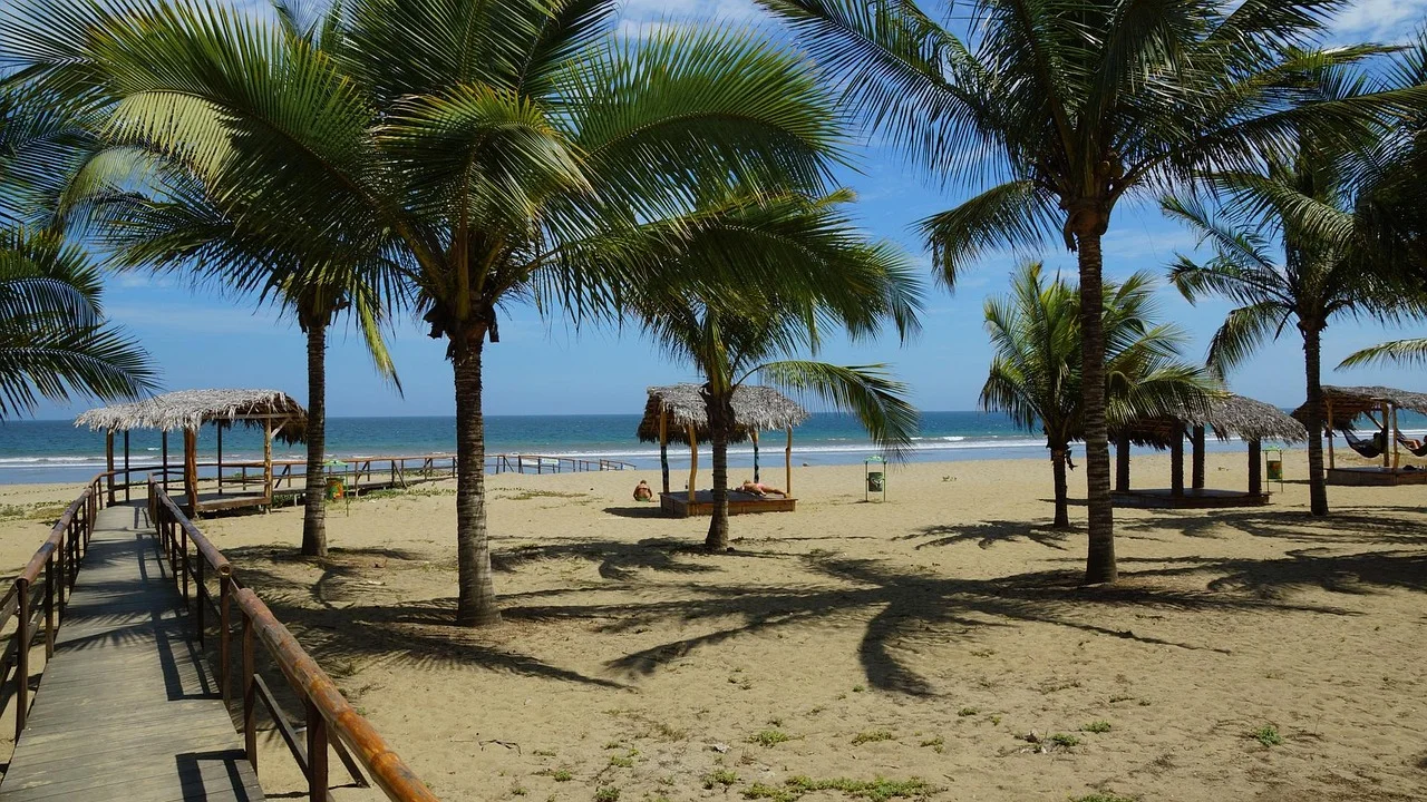 Bush & Beach Experience safari journeys