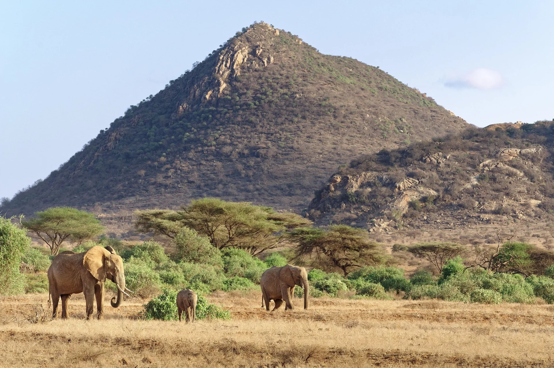7-Day Samburu, Ol Pejeta, Nakuru & Masai Mara Safari