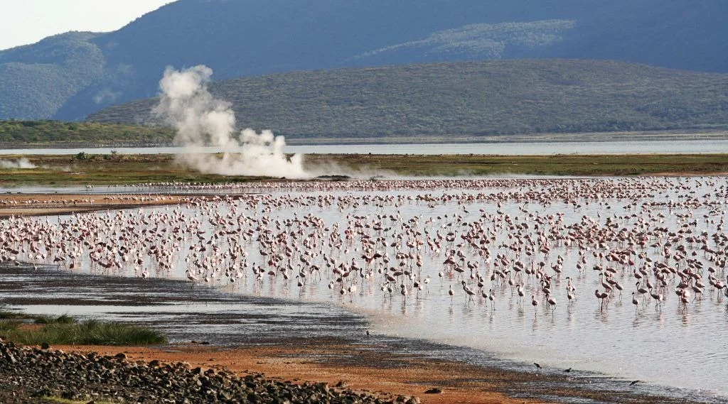 Lake Bogoria National Reserve