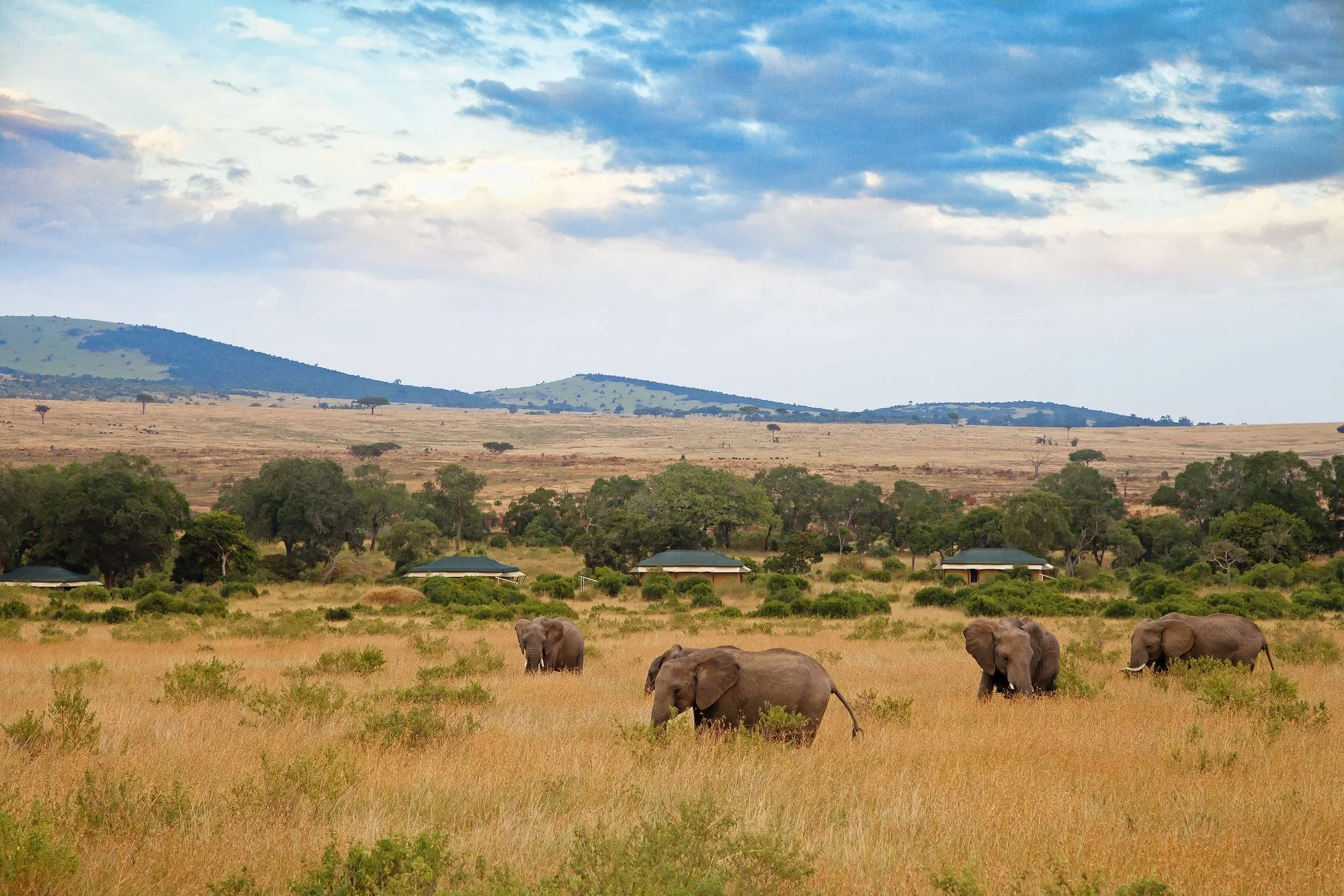 Mara North Conservancy