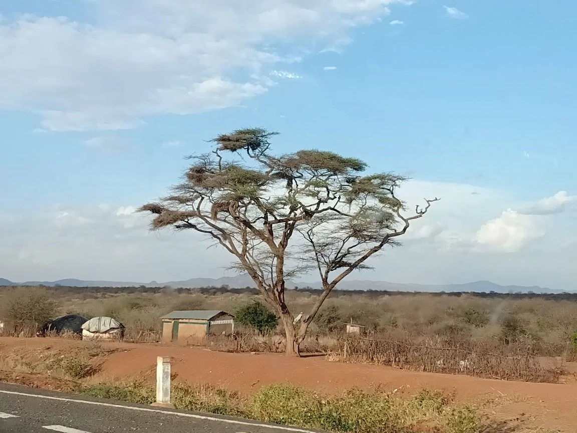 Marsabit National Park