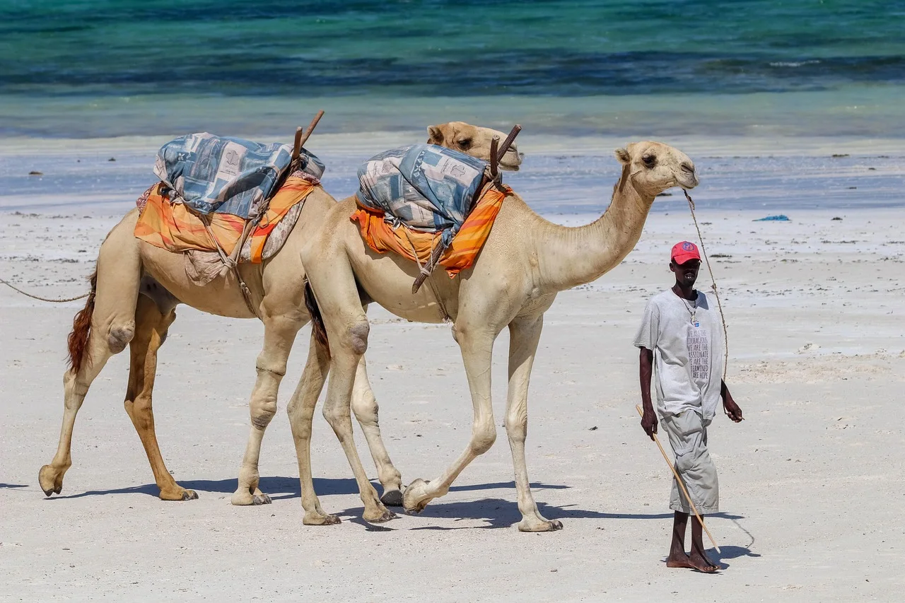 10-Day Kenya Grand Safari & Diani Beach